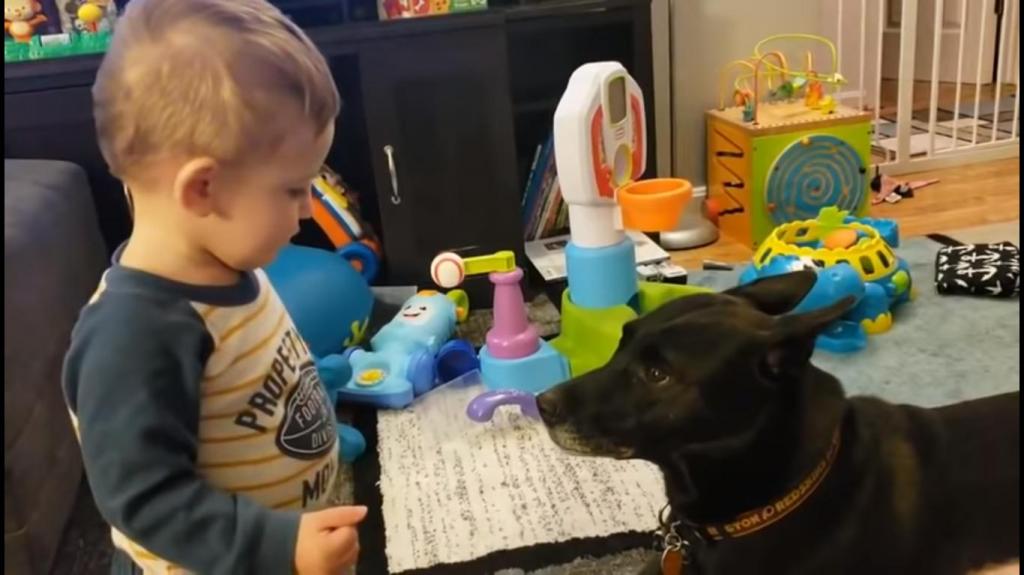 Мама записала на видео диалог сына с собакой