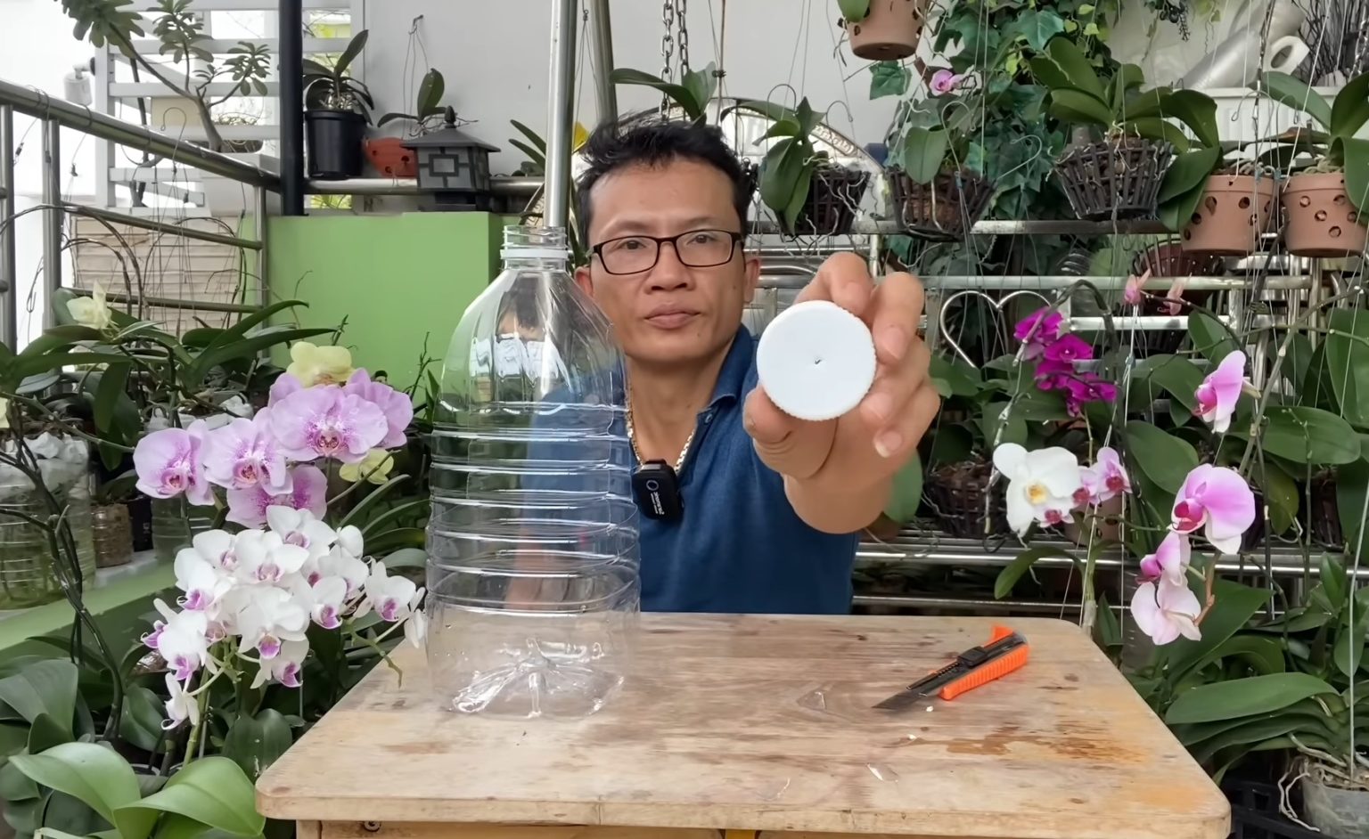 Необычный способ посадки орхидеи для обильного цветения